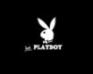 Tapety na plochu - Just Playboy