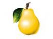 Tapety na plochu - Yellow pear