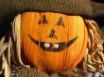 Tapety na plochu - Smiling pumpkin