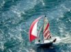 Tapety na plochu - Olympic Class 49er