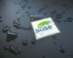 Tapety na plochu - Suse wet desktop