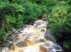 Tapety na plochu - Karamea waterfalls