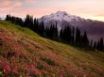 Tapety na plochu - Glacier peak