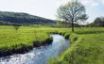 Tapety na plochu - River in Bavaria